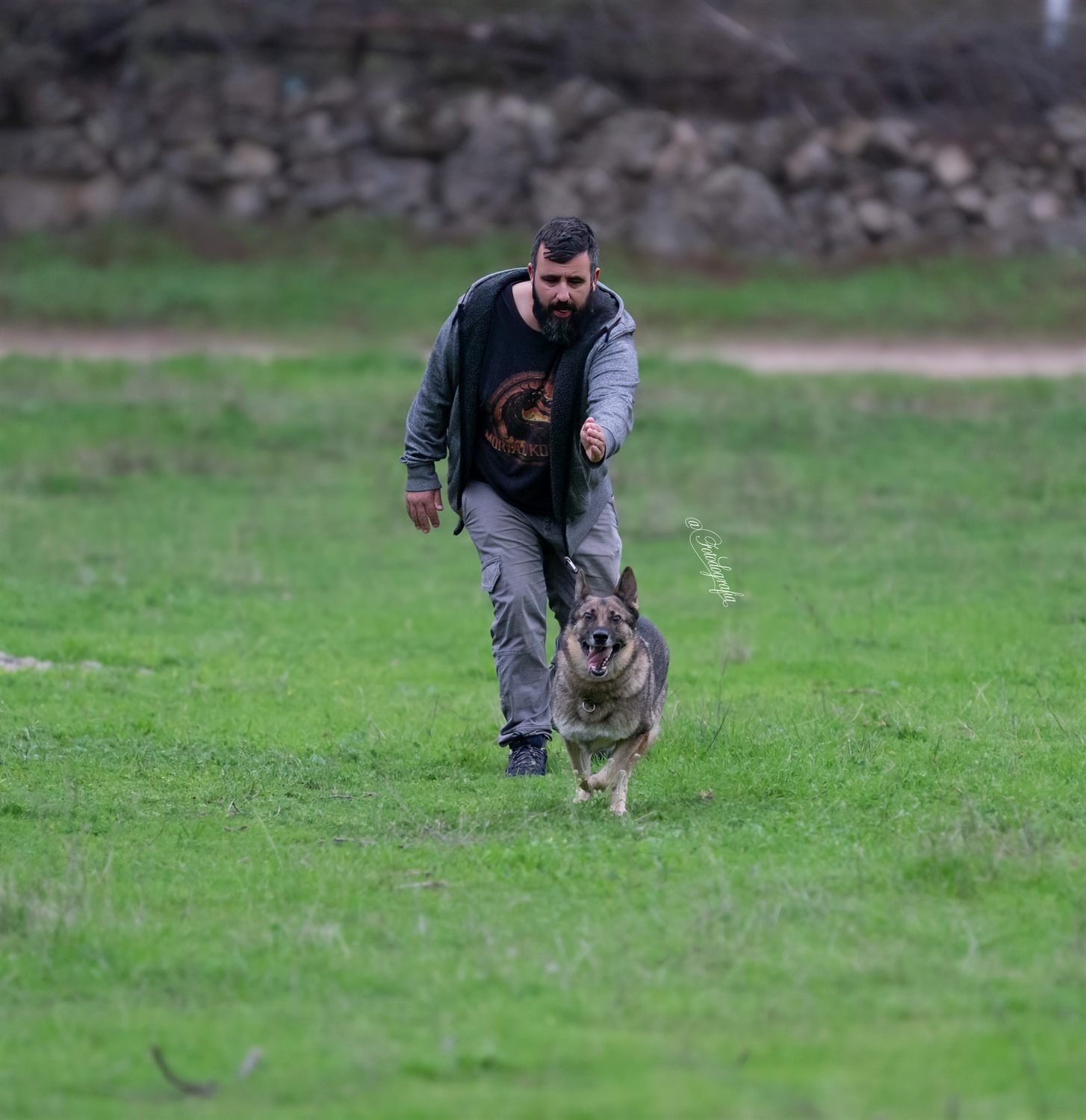 Guía y perro en trabajo de obediencia y manejabilidad IBGH